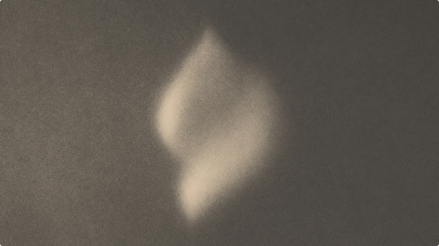 Macro botanical leaf, HAVAN